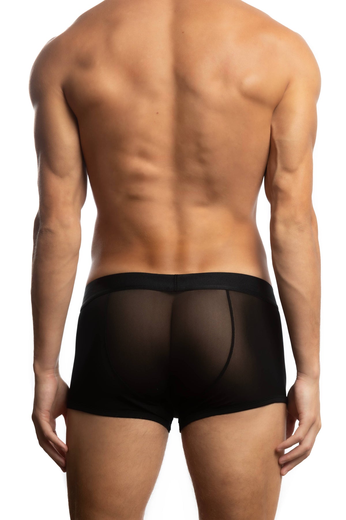 All Over Mesh Trunk: Black