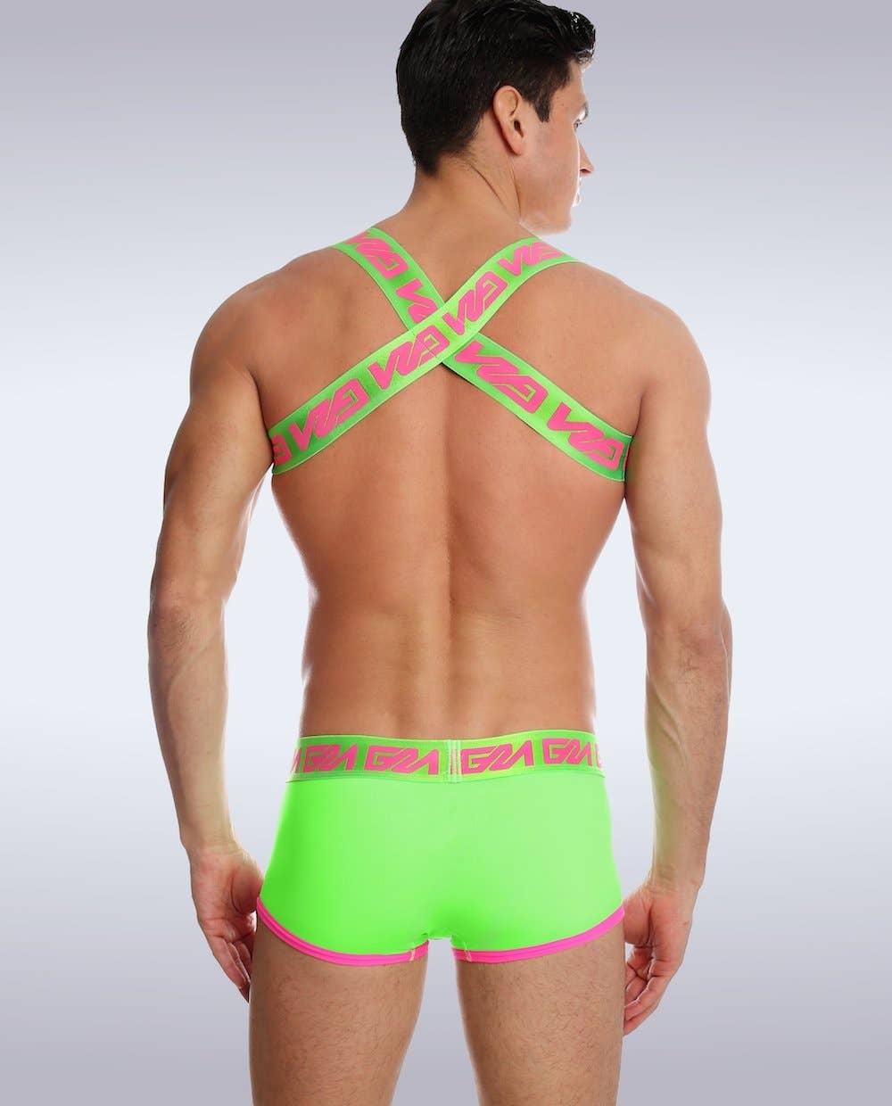 Lincoln Shoulder Harness - Vegas Pride Positions