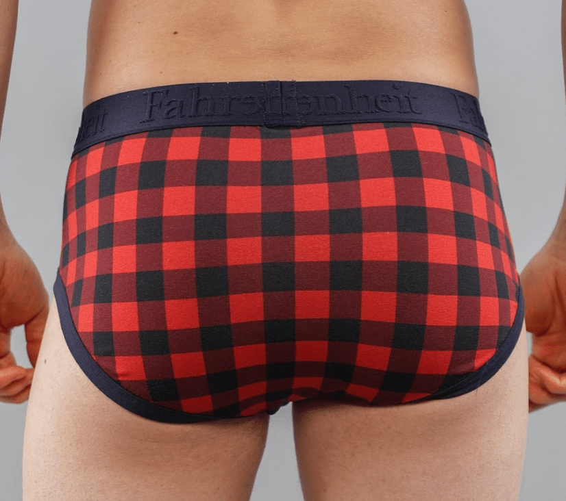 Wayne Brief | Red Buffalo Check Men's Cotton Underwear: - Vegas Pride Positions